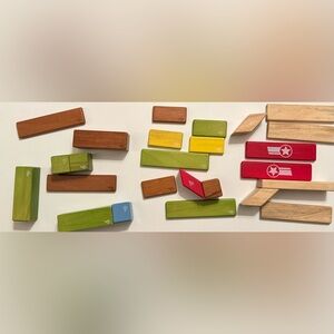 Tegu Magnetic Wooden Blocks Set